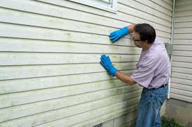 Shed Removal in Garyville, LA